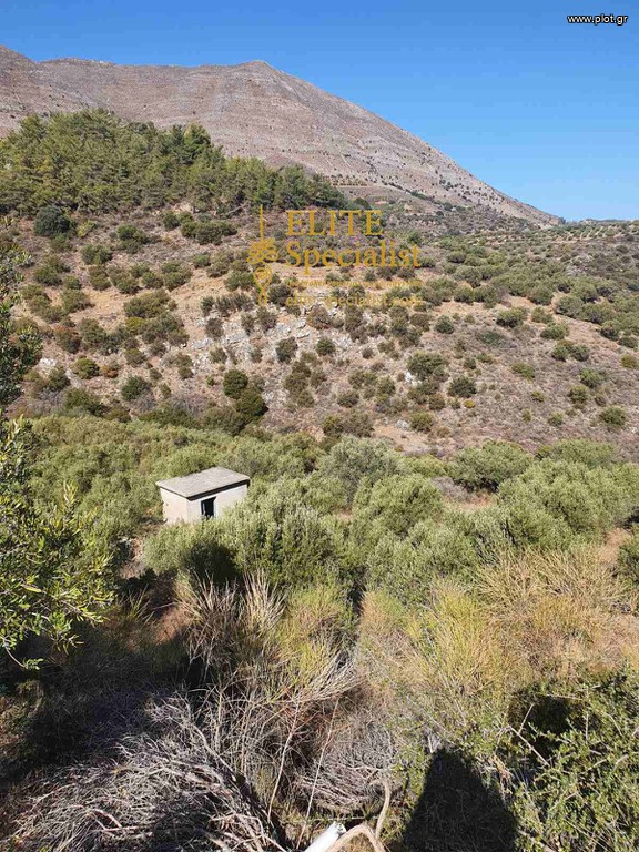 Οικόπεδο 5.140 τ.μ. πρός πώληση, Ν. Λασιθίου, Σητεία