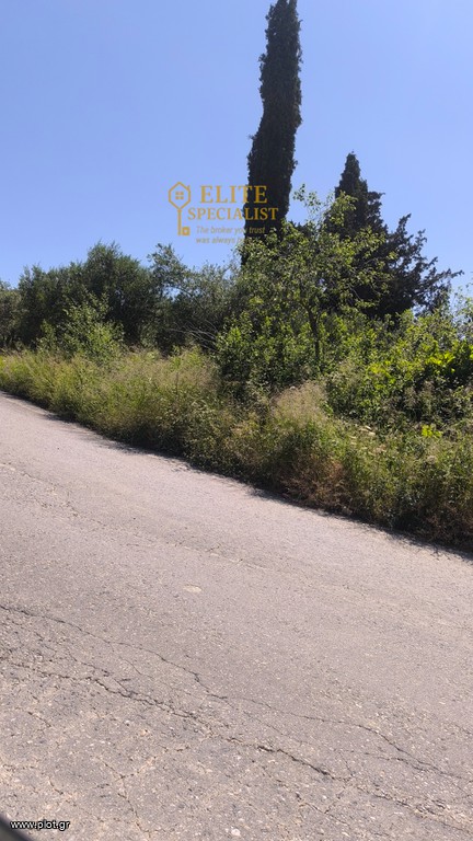 Οικόπεδο 826 τ.μ. προς πώληση, Αρχοντικό Αρκαλοχωρίου