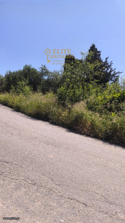 Οικόπεδο 826 τ.μ. προς πώληση, Αρχοντικό Αρκαλοχωρίου