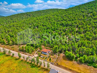 Μονοκατοικία 70 τ.μ. για πώληση, Κορινθία, Σολύγεια-thumb-6