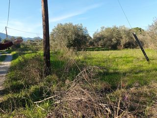 Αγροτεμάχια 2.000 τ.μ. για πώληση, Εύβοια, Αιδηψός-thumb-3