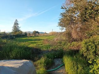 Αγροτεμάχια 2.000 τ.μ. για πώληση, Εύβοια, Αιδηψός-thumb-16