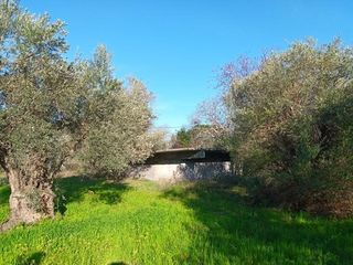 Αγροτεμάχια 2.000 τ.μ. για πώληση, Εύβοια, Αιδηψός-thumb-8