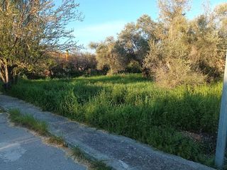 Αγροτεμάχια 2.000 τ.μ. για πώληση, Εύβοια, Αιδηψός-thumb-2