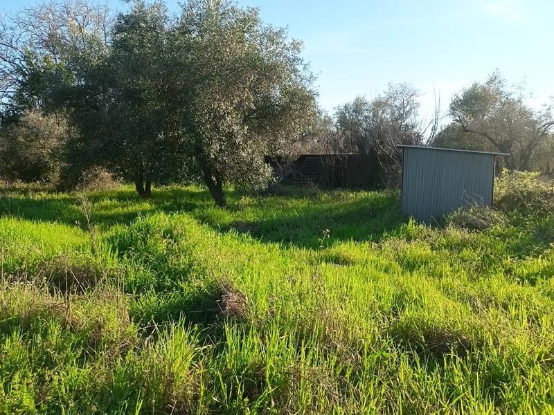 Αγροτεμάχια 2.000 τ.μ. για πώληση, Εύβοια, Αιδηψός