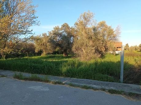 Οικόπεδο 750τ.μ. για πώληση-Ωρεοί » Νέος πύργος