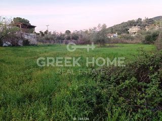 Οικόπεδο 2.400 τ.μ. για πώληση, Εύβοια, Αιδηψός-thumb-2