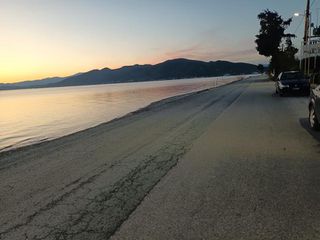 Οικόπεδο 2.400 τ.μ. για πώληση, Εύβοια, Αιδηψός-thumb-9