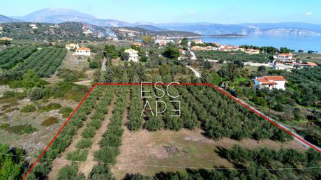 Οικόπεδο 4.000 τ.μ. για πώληση