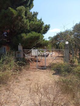 Detached home 103sqm for sale-Volakas » Epitalio