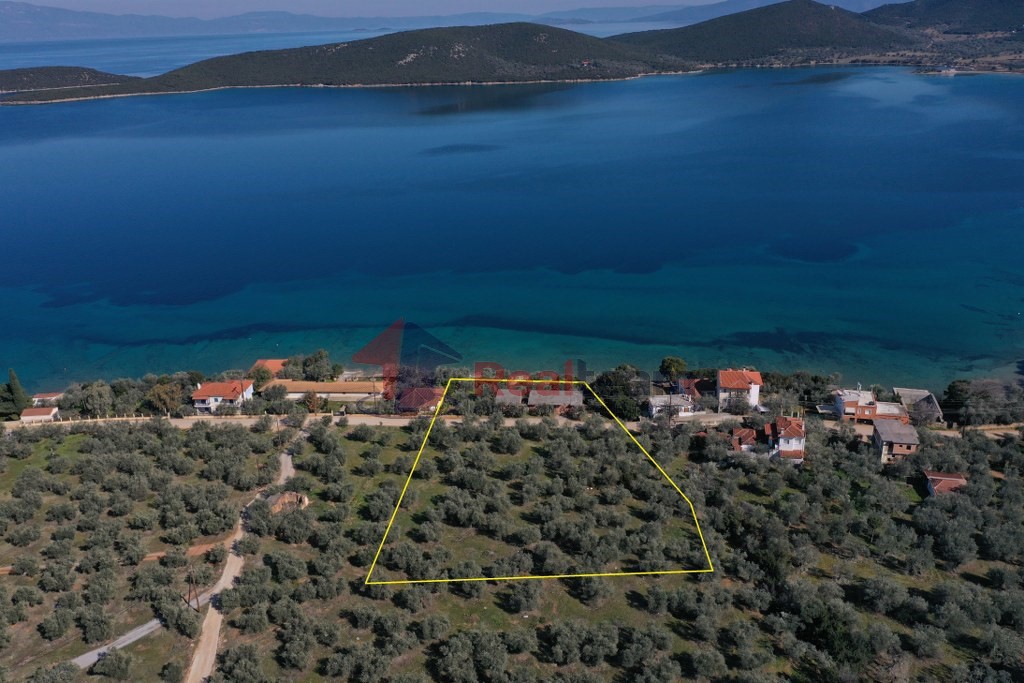 Μονοκατοικία 150 τ.μ. πρός πώληση, Μαγνησία, Σούρπη
