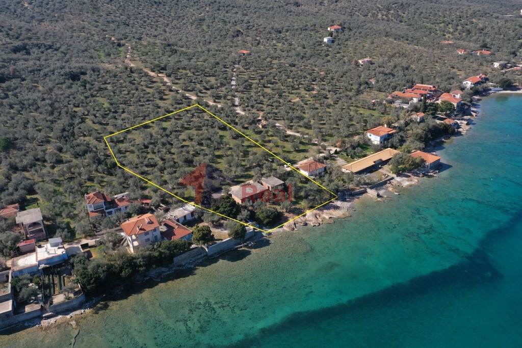 Μονοκατοικία 150 τ.μ. πρός πώληση, Μαγνησία, Σούρπη