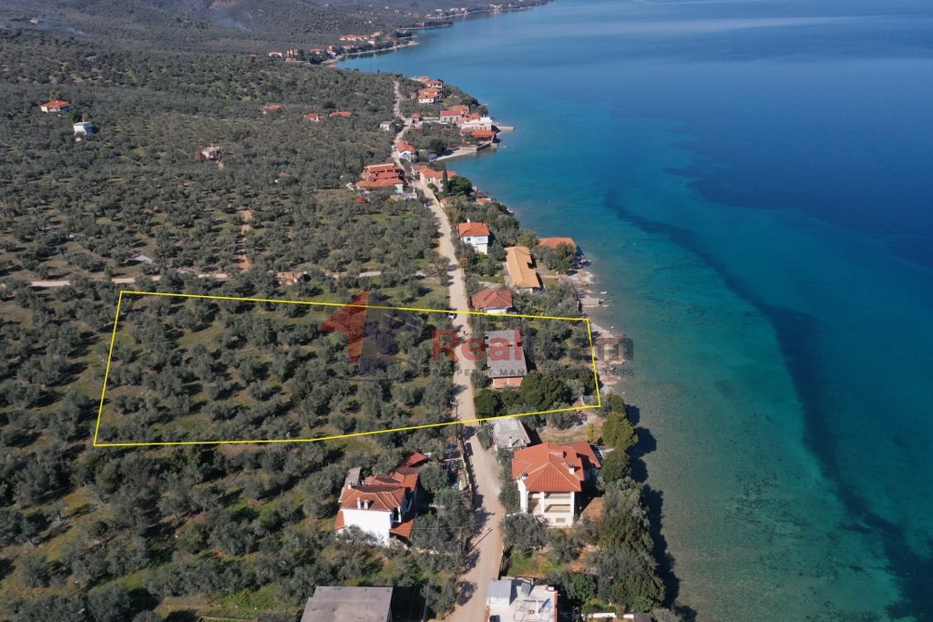Μονοκατοικία 150 τ.μ. πρός πώληση, Μαγνησία, Σούρπη