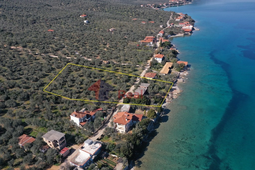 Μονοκατοικία 150 τ.μ. πρός πώληση, Μαγνησία, Σούρπη