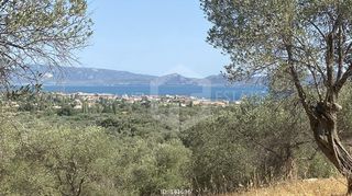 Οικόπεδο 20.000 τ.μ. για πώληση