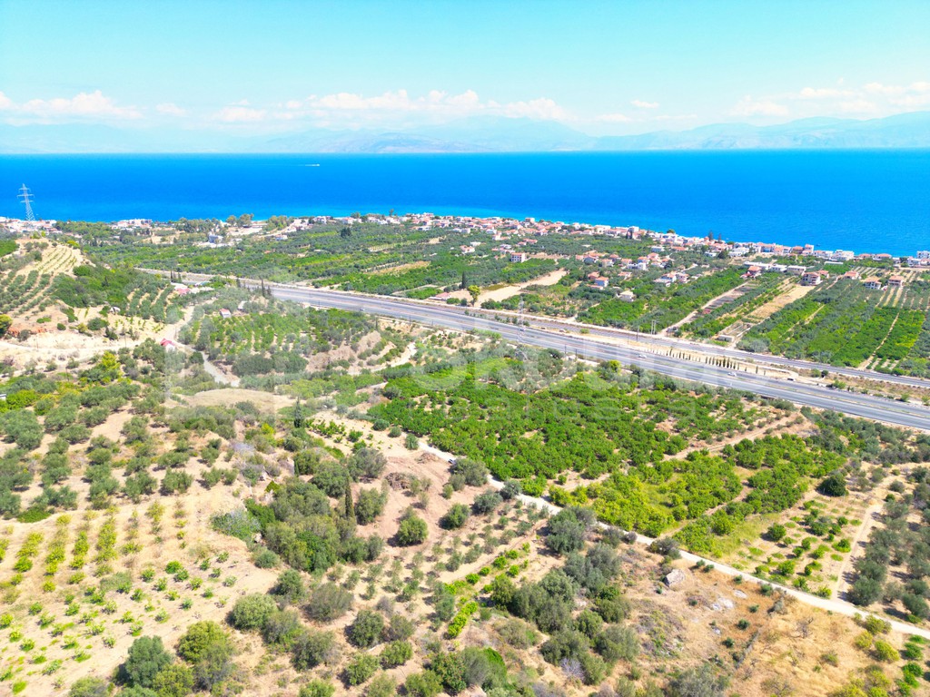 Οικόπεδο 1.665 τ.μ. προς πώληση, Καμάρι Ξυλοκάστρου