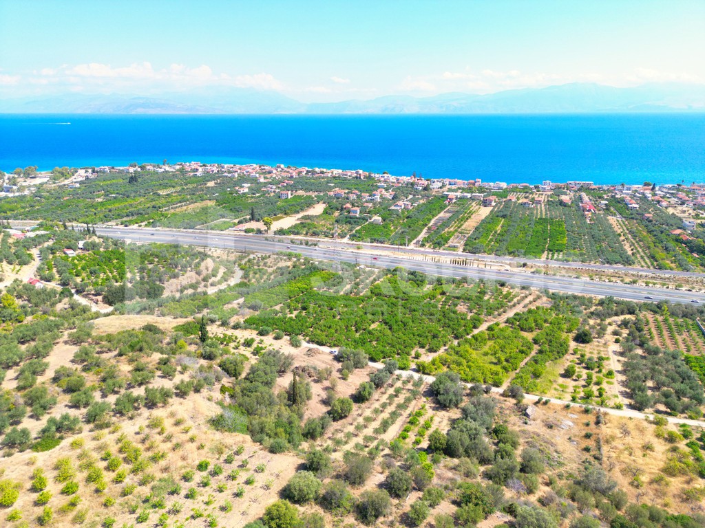 Οικόπεδο 1.665 τ.μ. προς πώληση, Καμάρι Ξυλοκάστρου