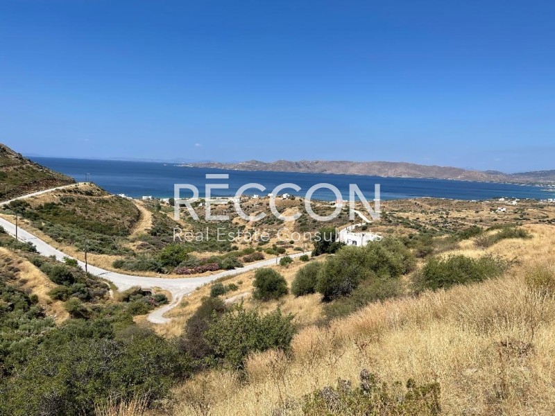 Οικόπεδο 456 τ.μ. προς πώληση, Αετός Καρύστου
