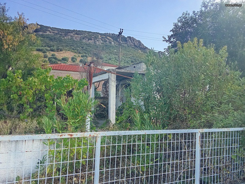 Μονοκατοικία 80 τ.μ. πρός πώληση, Βοιωτία, Χαιρώνεια