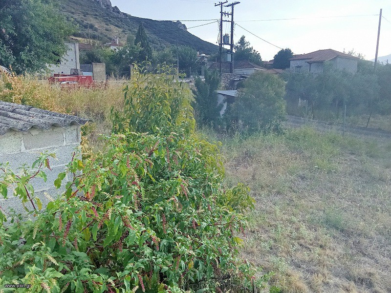Μονοκατοικία 80 τ.μ. πρός πώληση, Βοιωτία, Χαιρώνεια