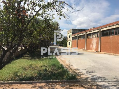 Βιοτεχνικός χώρος 1.620τ.μ. για πώληση-Μυγδονία