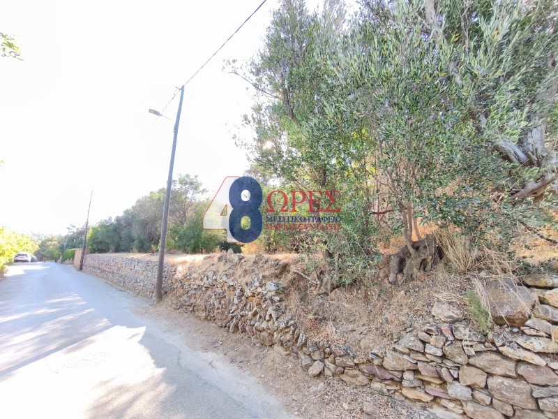 Οικόπεδο 2.800 τ.μ. προς πώληση, Άγιος Μηνάς Χίου