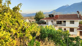Βίλλα 400 τ.μ. προς πώληση, Φθιώτιδας, Λαμία-thumb-4