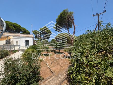 Μονοκατοικία 70τ.μ. για πώληση-Νέα μάκρη » Ζούμπερι