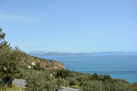Αγροτεμάχια 2.400τ.μ. για πώληση-Βόρεια κυνουρία