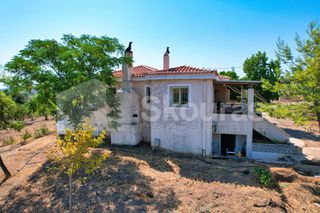Μονοκατοικία 242 τ.μ. για πώληση, Αργολίδα, Ερμιόνη-thumb-5