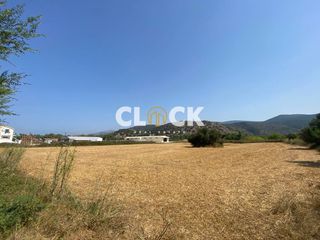 Οικόπεδο 8.000 τ.μ. για πώληση