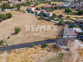 Αγροτεμάχια 2.258 τ.μ. πρός ενοικίαση, Μαγνησία, Βόλος-thumb-3