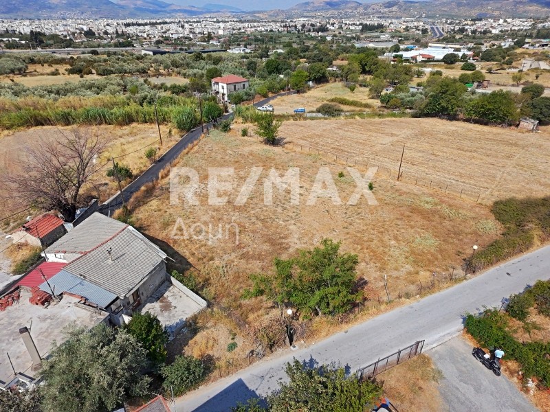 Αγροτεμάχια 2.258 τ.μ. προς ενοικίαση, Μαγνησία, Βόλος