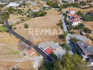 Αγροτεμάχια 2.258 τ.μ. πρός ενοικίαση, Μαγνησία, Βόλος-thumb-9