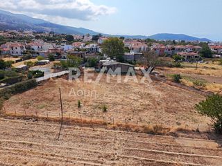 Αγροτεμάχια 2.258 τ.μ. πρός ενοικίαση, Μαγνησία, Βόλος-thumb-7