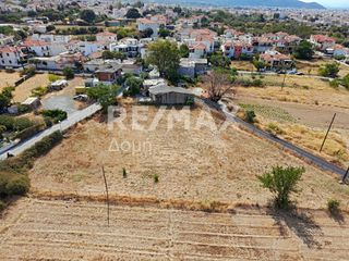 Αγροτεμάχια 2.258 τ.μ. πρός ενοικίαση, Μαγνησία, Βόλος-thumb-19