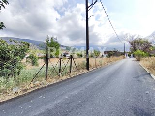 Αγροτεμάχια 2.258 τ.μ. πρός ενοικίαση, Μαγνησία, Βόλος-thumb-14