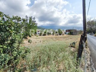 Αγροτεμάχια 2.258 τ.μ. πρός ενοικίαση, Μαγνησία, Βόλος-thumb-12