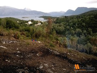 Αγροτεμάχια 6.501 τ.μ. για πώληση