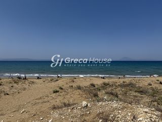 Οικόπεδο 21.000 τ.μ. για πώληση, Ν. Ηλείας, Κάστρο Κυλλήνης-thumb-18
