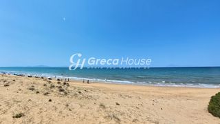 Οικόπεδο 21.000 τ.μ. για πώληση, Ν. Ηλείας, Κάστρο Κυλλήνης-thumb-11