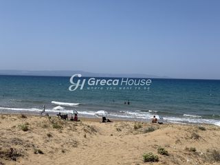 Οικόπεδο 21.000 τ.μ. για πώληση, Ν. Ηλείας, Κάστρο Κυλλήνης-thumb-21
