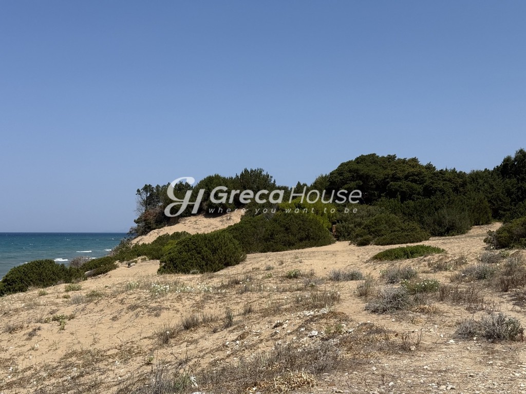 Οικόπεδο 21.000 τ.μ. πρός πώληση, Ν. Ηλείας, Κάστρο Κυλλήνης