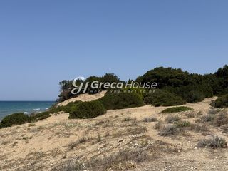 Οικόπεδο 21.000 τ.μ. για πώληση, Ν. Ηλείας, Κάστρο Κυλλήνης-thumb-4