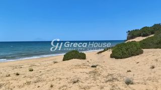 Οικόπεδο 21.000 τ.μ. για πώληση, Ν. Ηλείας, Κάστρο Κυλλήνης-thumb-19