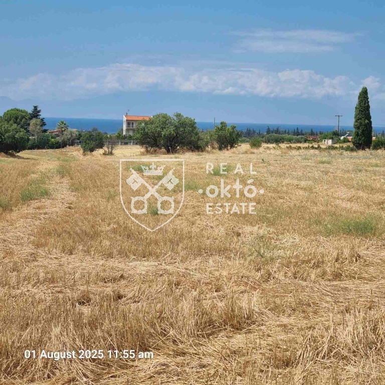 Αγροτεμάχια 5.830 τ.μ. πρός πώληση, Θεσσαλονίκη - Περιφ/Κοί Δήμοι, Επανομή