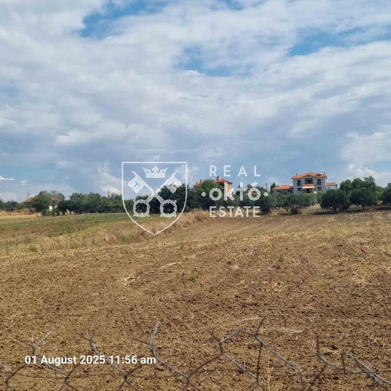 Αγροτεμάχια 5.830 τ.μ. πρός πώληση, Θεσσαλονίκη - Περιφ/Κοί Δήμοι, Επανομή