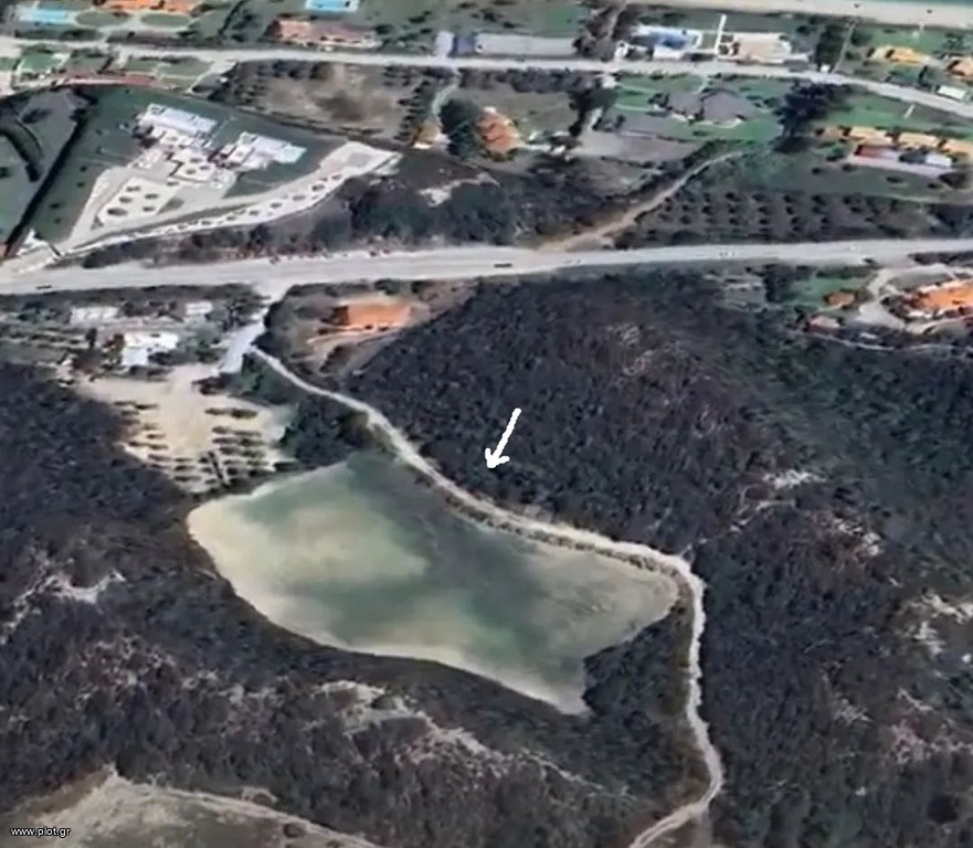 Αγροτεμάχια 7.278 τ.μ. πρός πώληση, Χαλκιδική, Κασσάνδρα
