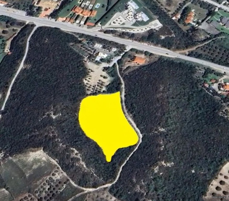 Αγροτεμάχια 7.278 τ.μ. πρός πώληση, Χαλκιδική, Κασσάνδρα