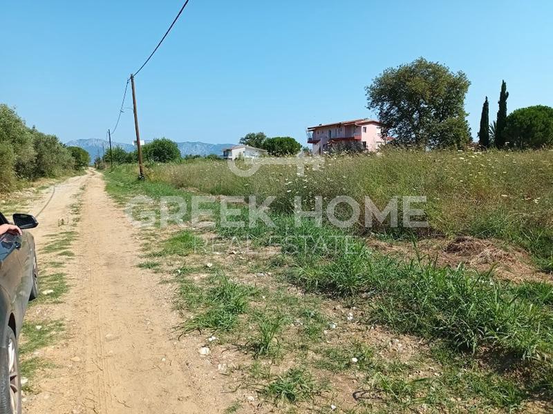 Αγροτεμάχια 1.639 τ.μ. προς πώληση, Ασμήνιο